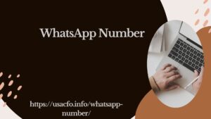 Whatsapp Number List Package