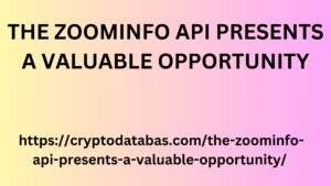 THE ZOOMINFO API PRESENTS A VALUABLE OPPORTUNITY