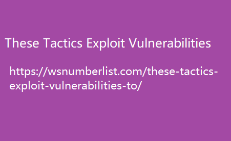 These Tactics Exploit Vulnerabilities