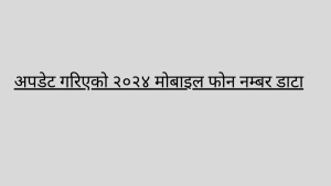 अपडेट गरिएको २०२४ मोबाइल फोन नम्बर डाटा 